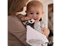 Panda Rágnyi