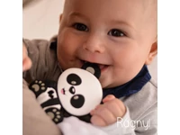 Panda Rágnyi