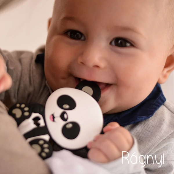 Panda Rágnyi